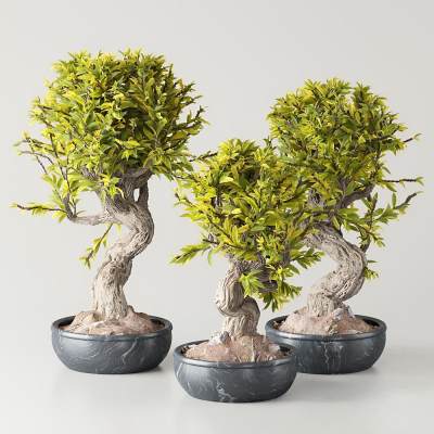 现代绿植盆栽摆件-04